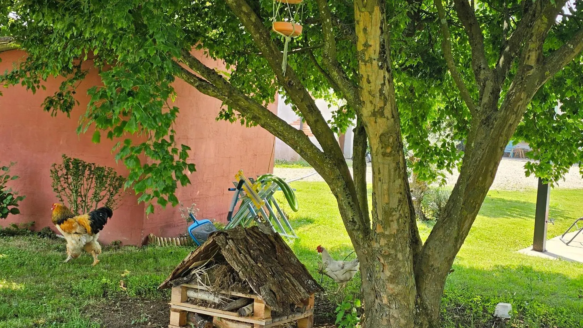 Bed and Breakfast La Ferme De Cruz Chez Lisa Cruzilles-les-Mepillat Отель типа 